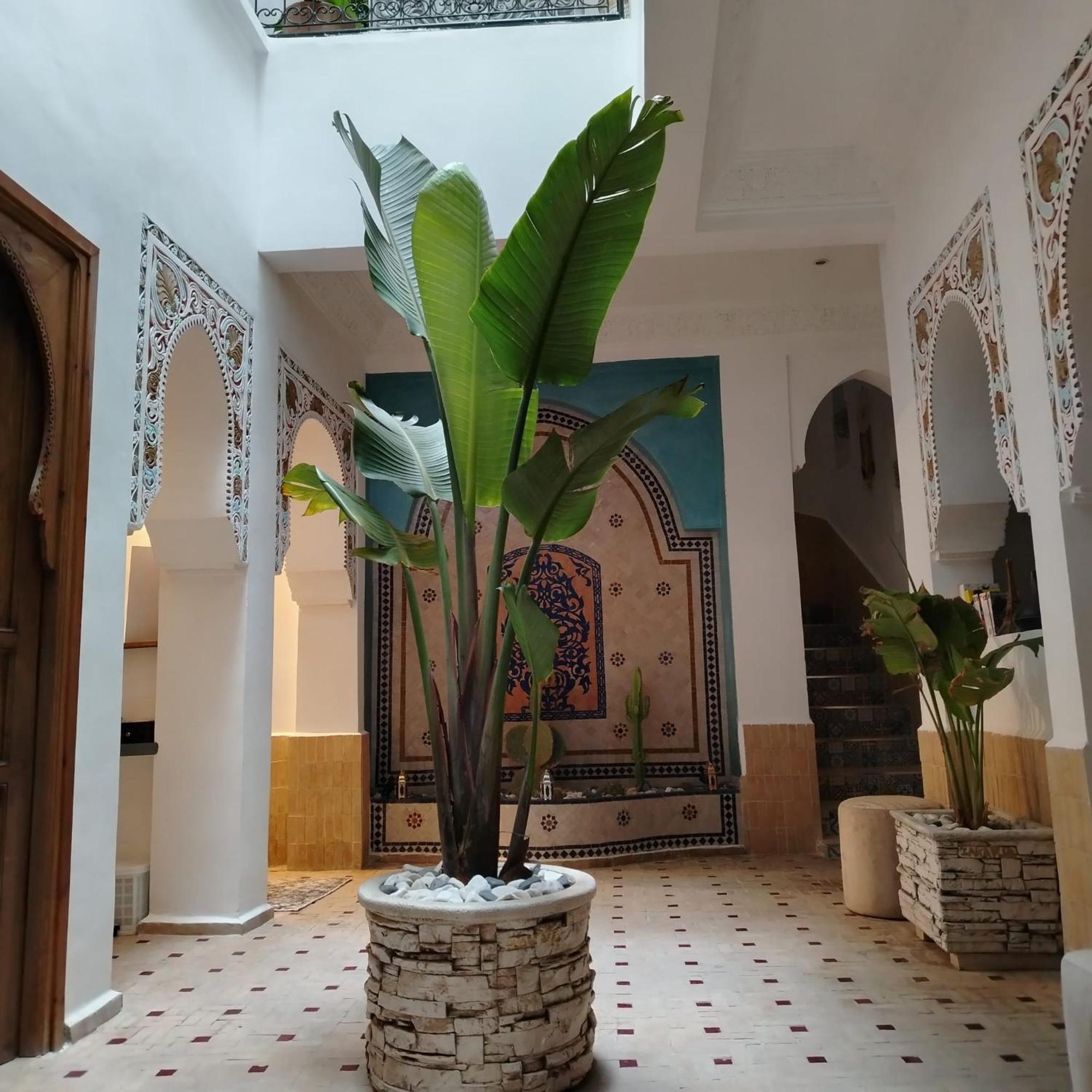 Riad & Spa Sous Le Soleil Chez Jerome Et Pamela Ch Marrakchi Μαρακές Εξωτερικό φωτογραφία